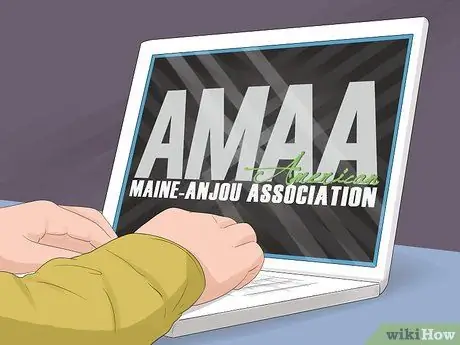 Определение крупного рогатого скота штата Мэн-Анжу Шаг 10