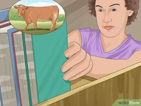 Определение крупного рогатого скота штата Мэн-Анжу Шаг 11