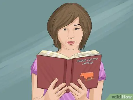 Определение крупного рогатого скота штата Мэн Анжу Шаг 7