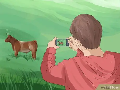 Определите шортхорнский скот Шаг 10