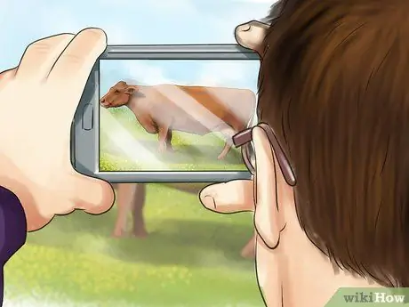 Идентификация Краснопырского крупного рогатого скота Шаг 4