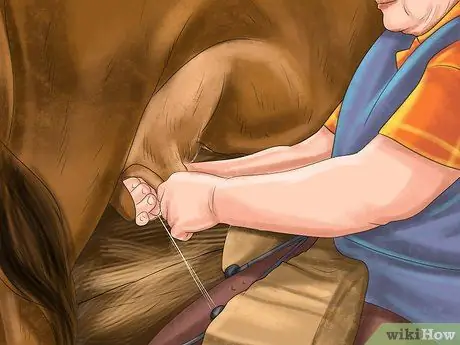 Идентификация Краснопырского крупного рогатого скота Шаг 5