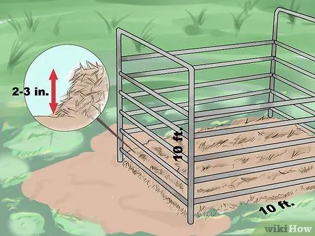 Уход за телятами Шаг 1