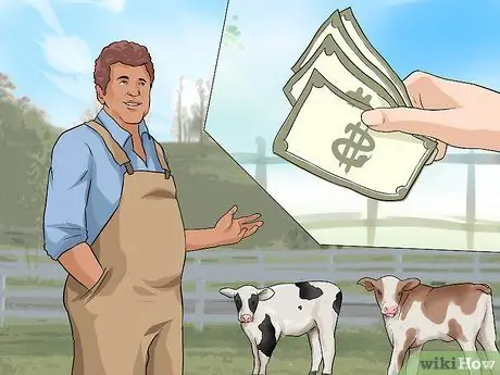 Уход за телятами Шаг 14