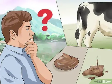 Уход за телятами Шаг 7