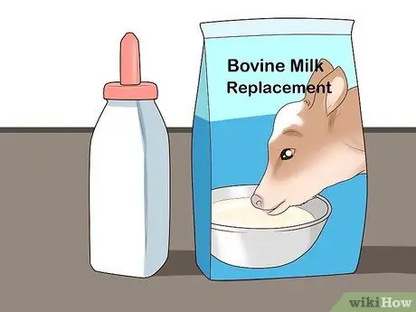 Кормление телят из бутылочки Шаг 1