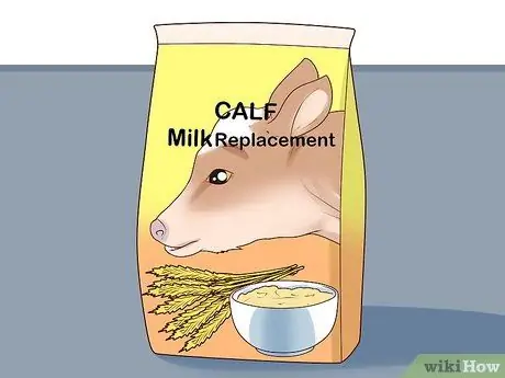 Кормление телят из бутылочки Шаг 10