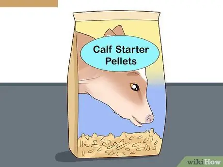 Кормление телят из бутылочки Шаг 16