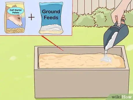 Кормление телят из бутылочки Шаг 17