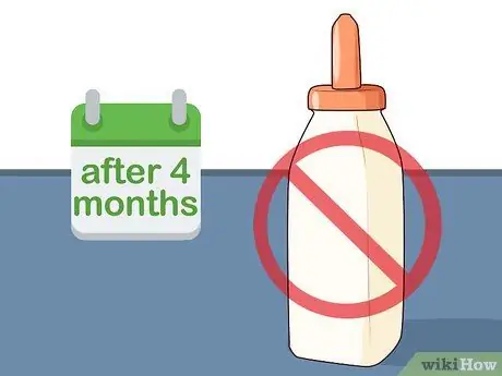 Кормление телят из бутылочки Шаг 19