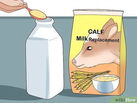 Кормление телят из бутылочки Шаг 4
