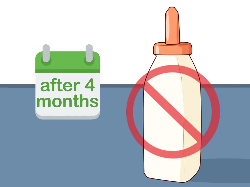 3 способа кормления телят из бутылочки