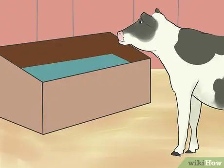 Шоу телок Шаг 10