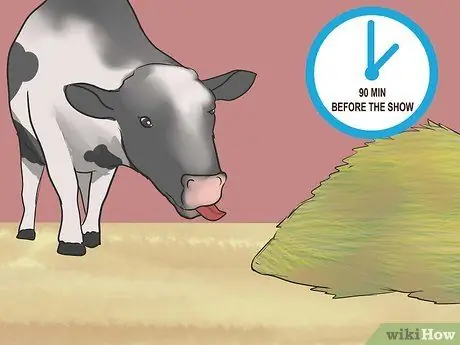 Шоу телок Шаг 11