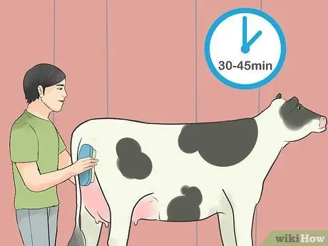 Шоу телок Шаг 13