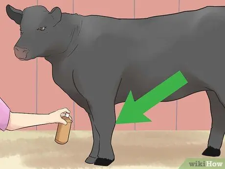 Шоу телок Шаг 14