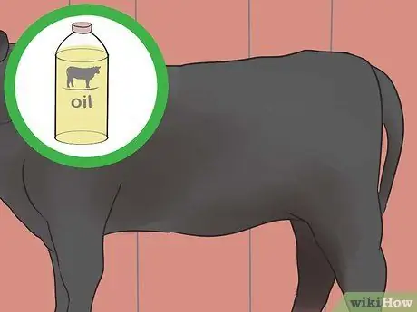 Шоу телок Шаг 17