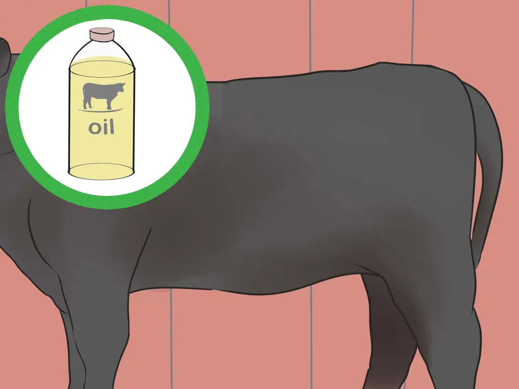 Как показать телок (с картинками)