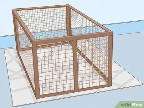 Уход за миниатюрной пузатой свиньей Шаг 1