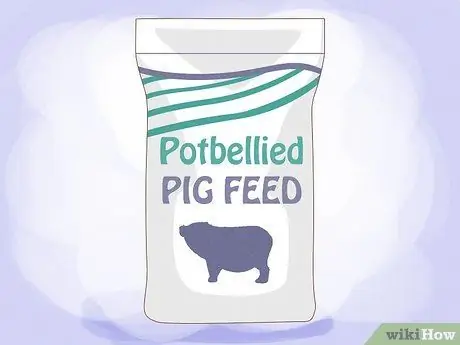 Уход за миниатюрной пузатой свиньей Шаг 3