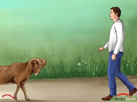 Защититься от барана Шаг 1