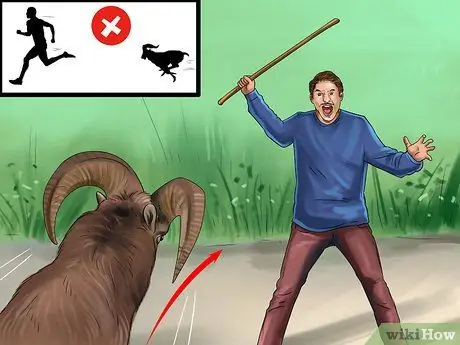 Защититься от барана Шаг 3