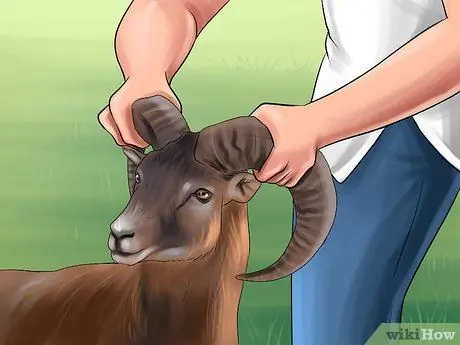 Защититься от барана Шаг 4