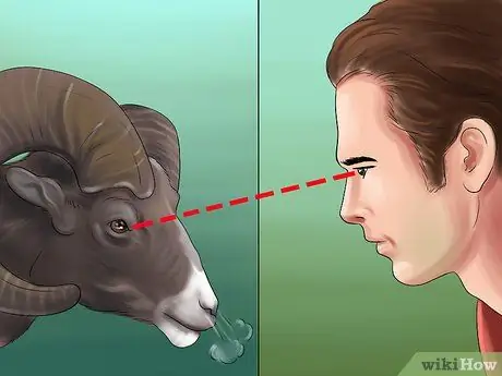 Защититься от барана Шаг 5