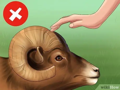 Защищаться от барана Шаг 6