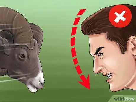 Защита от барана Шаг 7