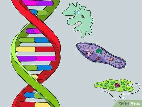 Объясните или защитите теизм Шаг 3