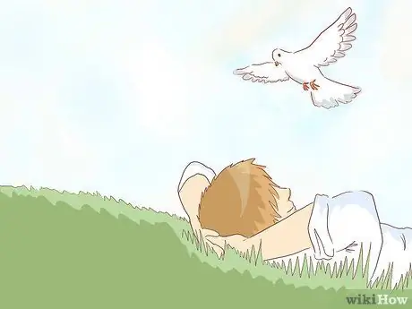 Дай бог, шаг 17