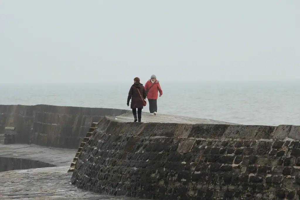 Как освободить разум: 11 шагов (с картинками)