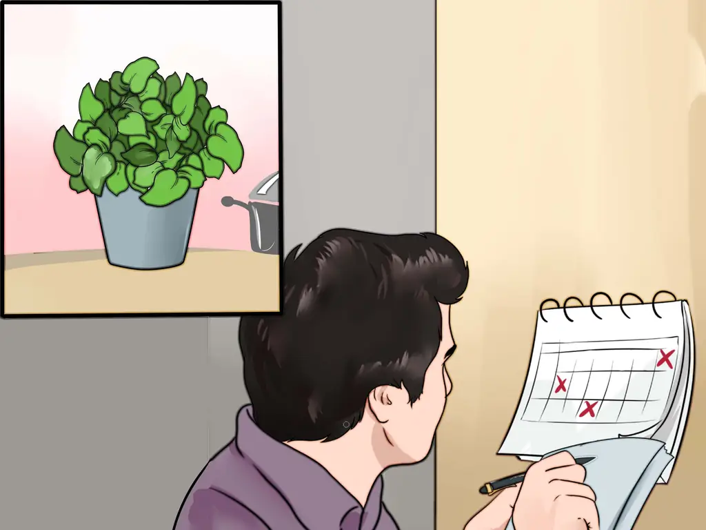 Как отпраздновать Самайн: 12 шагов (с изображениями)