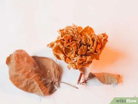 Найдите творческое вдохновение, шаг 4