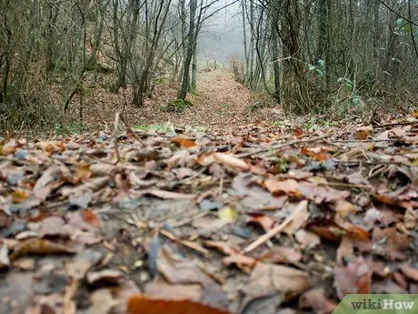 Найдите творческое вдохновение, шаг 7