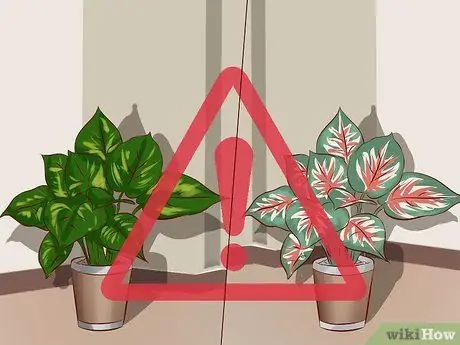 Защита от младенцев в гостиной Шаг 12