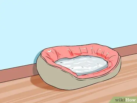 Доказательство собаки для вашего офиса Шаг 11