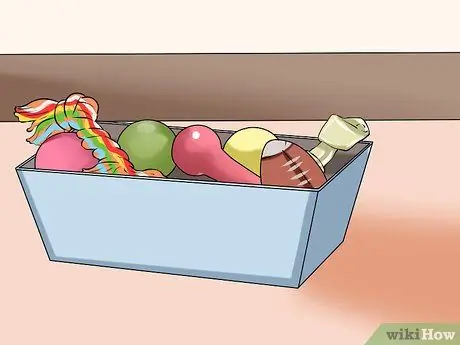 Доказательство собаки для вашего офиса Шаг 12