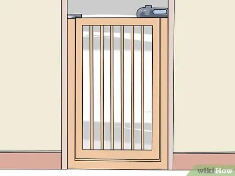 Доказательство собаки для вашего офиса Шаг 15