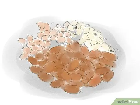 Промойте почки, шаг 17