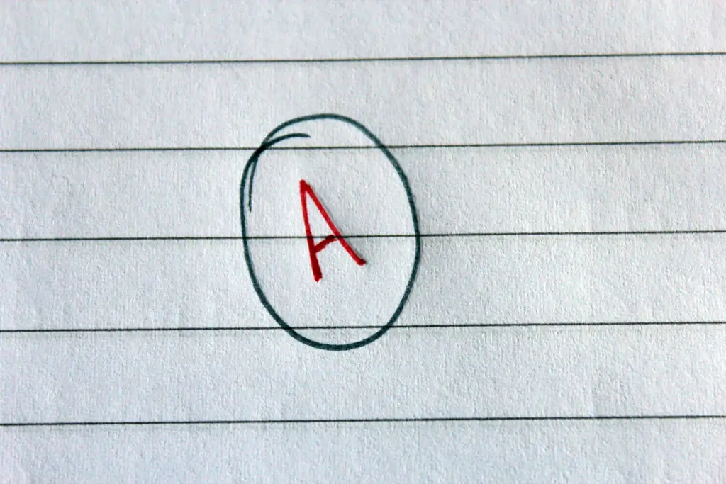 Как разработать систему обучения: 7 шагов (с иллюстрациями)