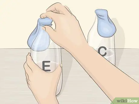 Измерение роста дрожжей, шаг 6