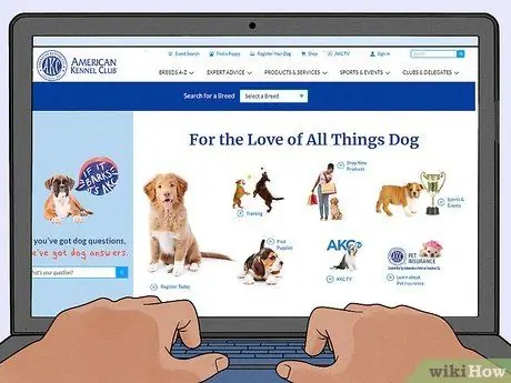 Избегайте мошенничества со щенками, шаг 2