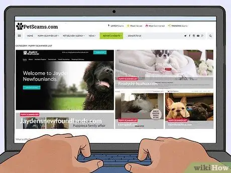 Избегайте мошенничества со щенками, шаг 4