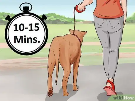 Study Well Шаг 10