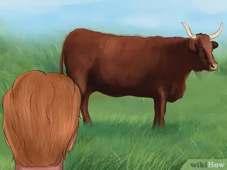 Определение крупного рогатого скота продавцов Шаг 4