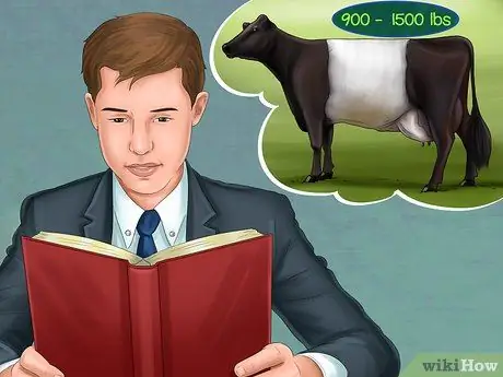 Определение голландского ленточного скота Шаг 2