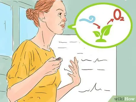 Объясните фотосинтез Шаг 1