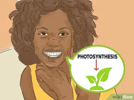 Объясните фотосинтез Шаг 3